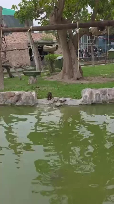 Плавайте, а то засохнете