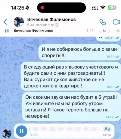 Сурикаты