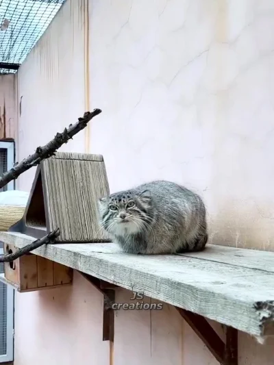 Ты чё, снимаешь?
