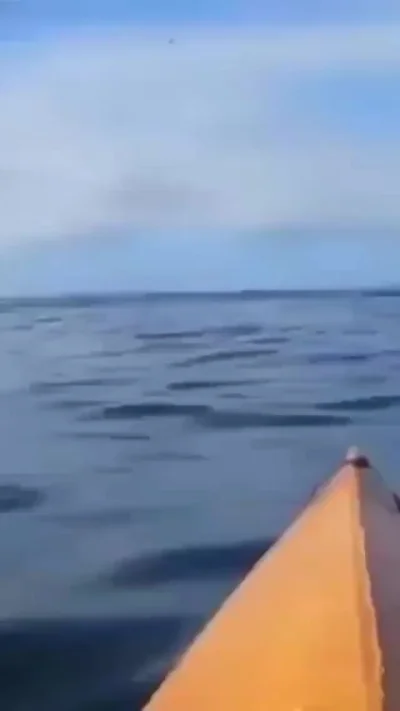 Неожиданные гости