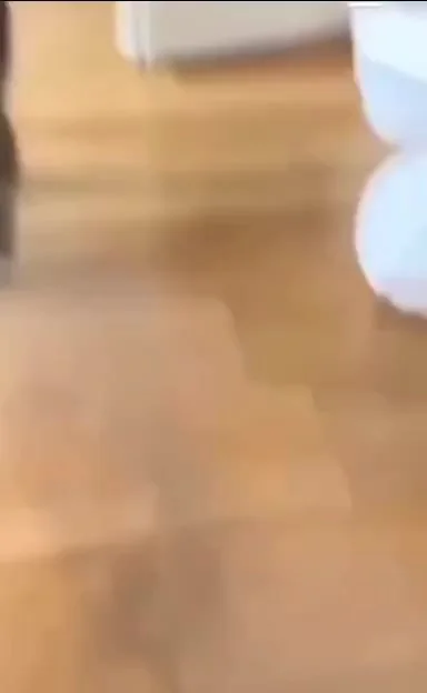 Погулял от души