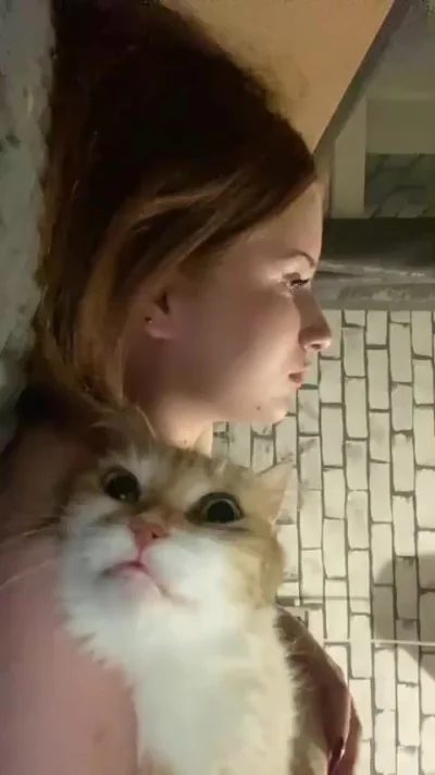 Кототерапия