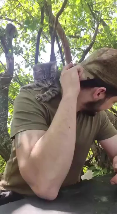 Юмор, милота, мимика — харизмы у наших бойцов не занимать!