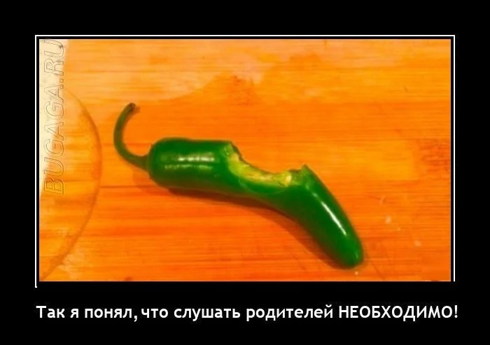 Отличные демотиваторы