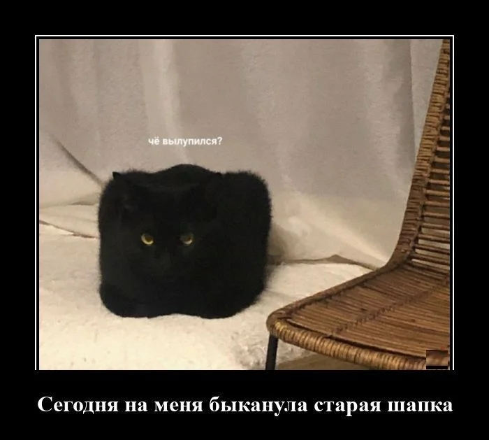 Демотиваторы свежие