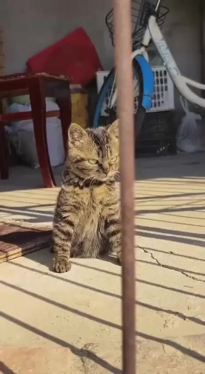 Злюся