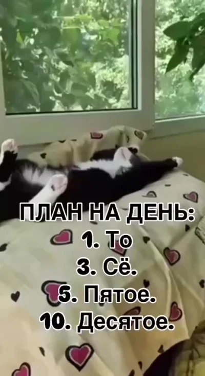 С планами на субботу разобрались