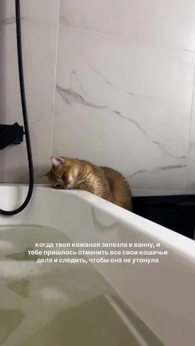 На наблюдательном пункте