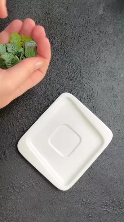 Смородина в малине