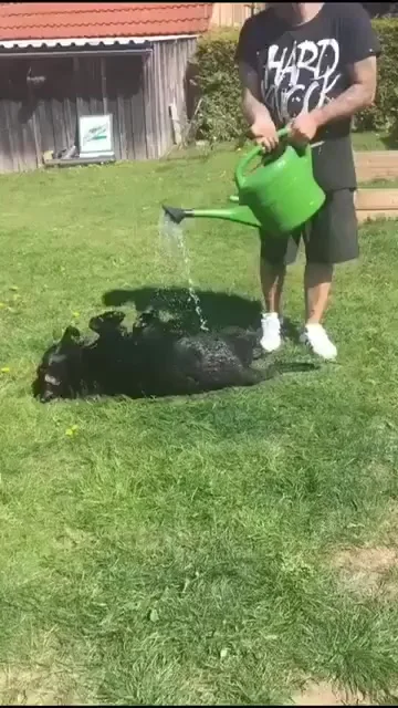Сколько счастья!