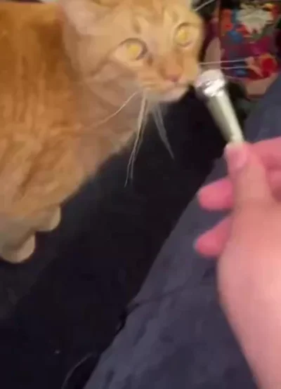 В караоке ему нет равных