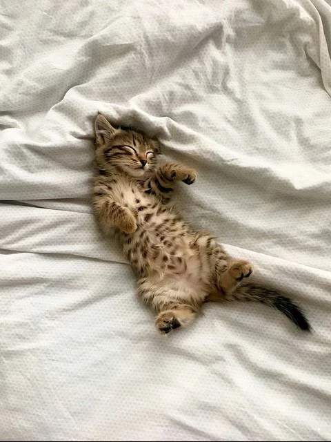 Разнообразная ФотоВсячина