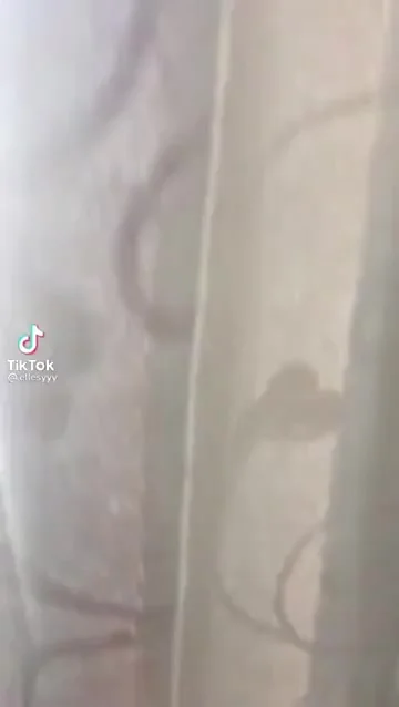 Привет, соседи!