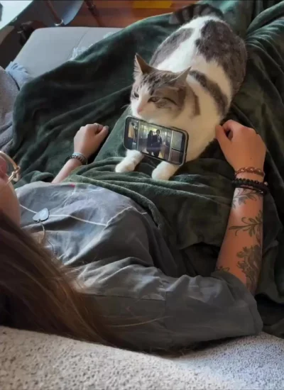 Кто-то: говорит, что коты бесполезны. Тем временем коты: