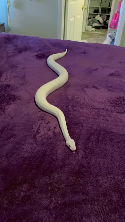 Медленный Python