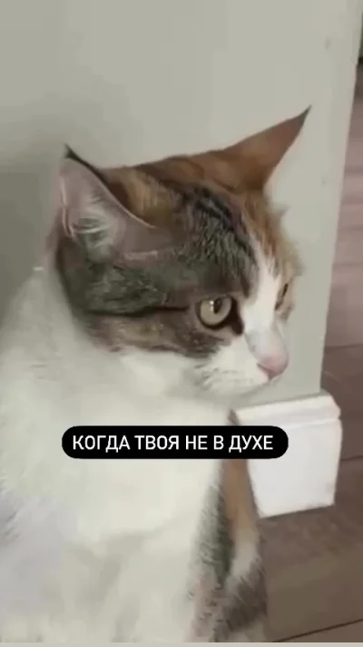 Все равно красота