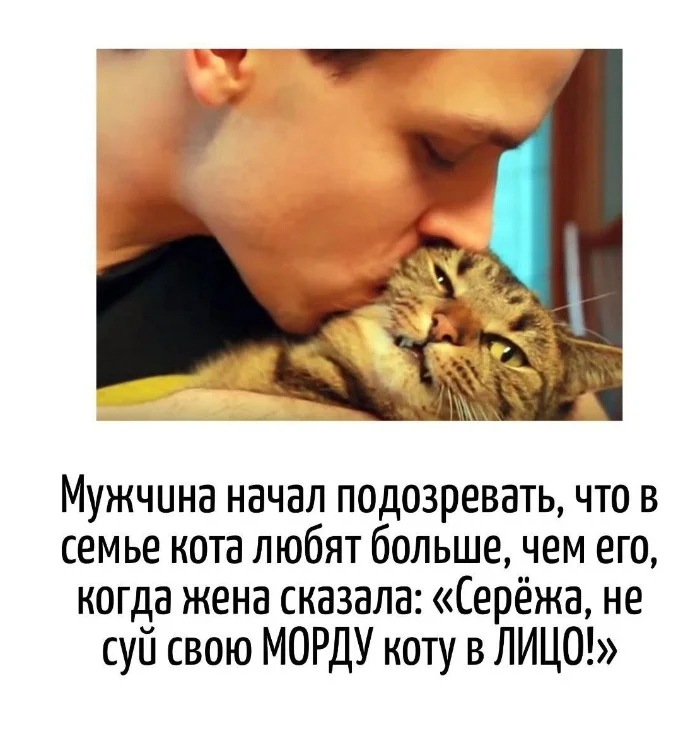 Игра слов – каламбуры, словесный юмор и прикольные картинки #115