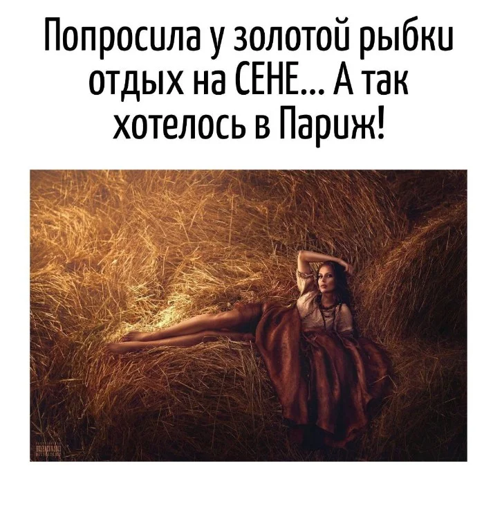 Игра слов – каламбуры, словесный юмор и прикольные картинки #134