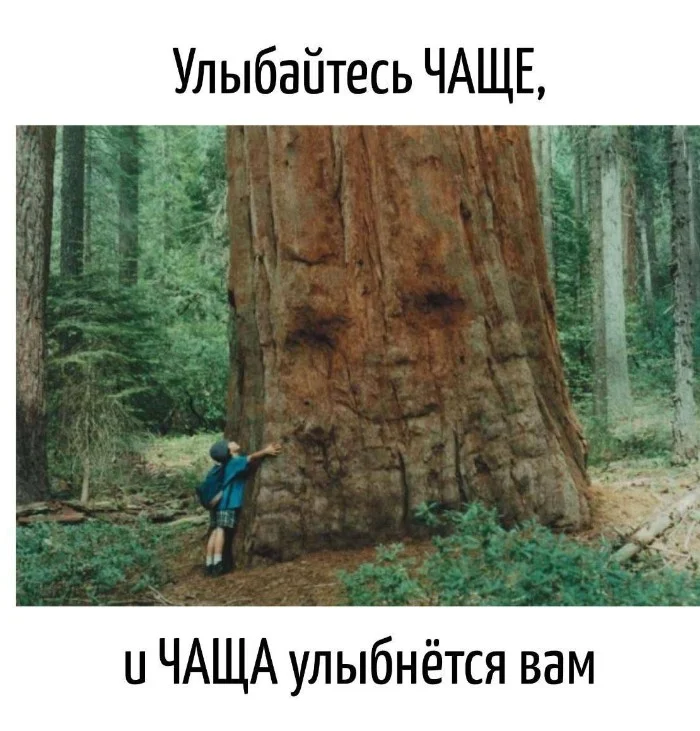 Игра слов – каламбуры, словесный юмор и прикольные картинки #141