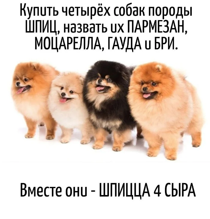 Игра слов – каламбуры, словесный юмор и прикольные картинки #148