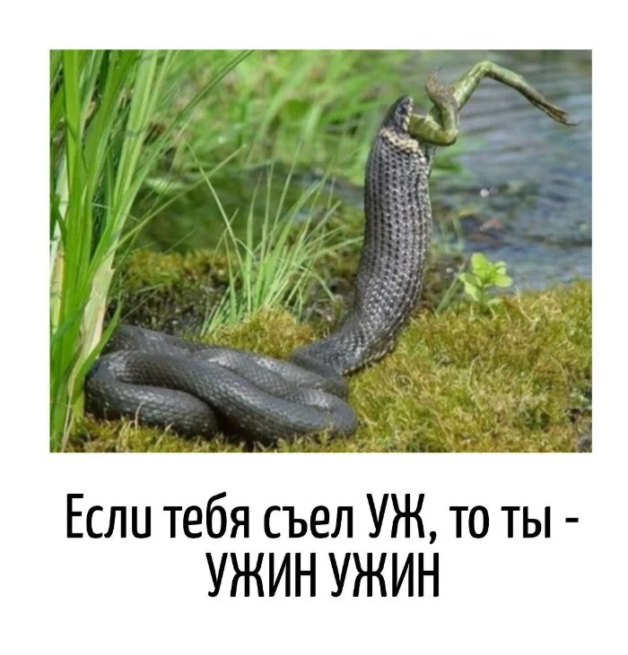 Игра слов – каламбуры, словесный юмор и прикольные картинки #149