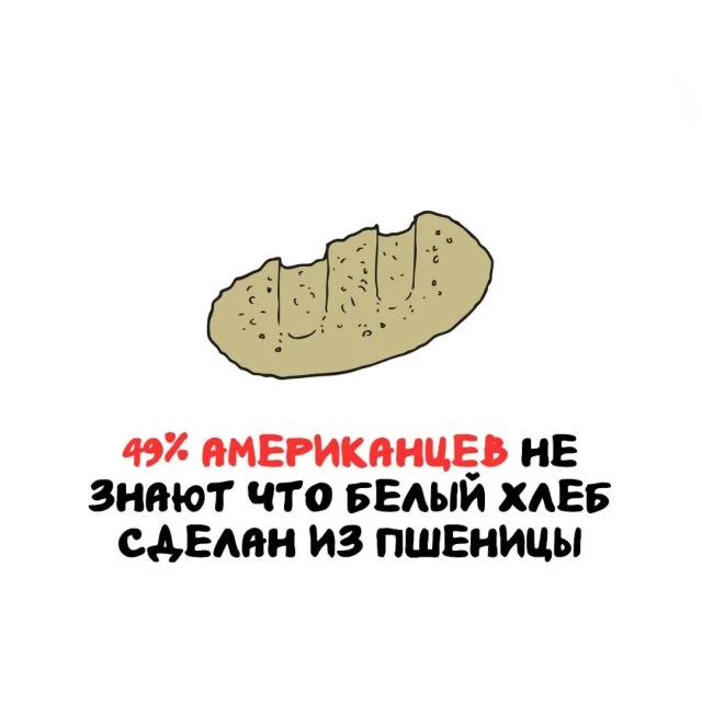 Факты, которые пригодятся в любой ситуации