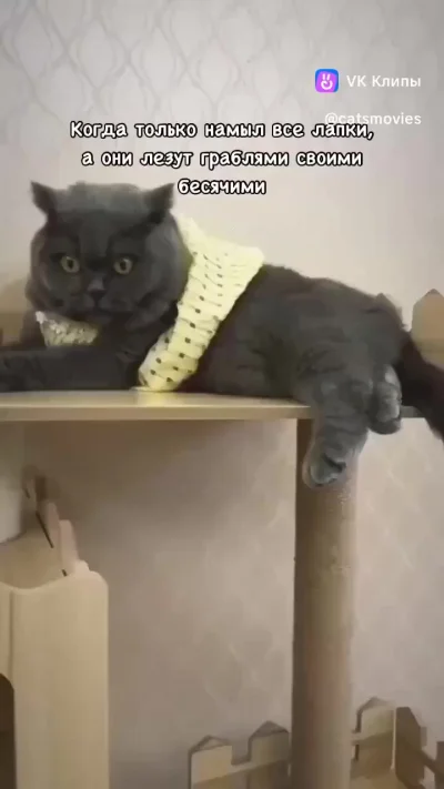 Убери свои грязные культяпки