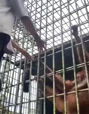 Как долго я тебя ждала!