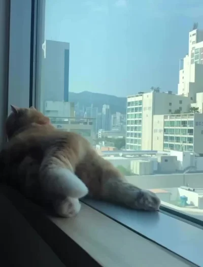 Отдыхаем, батонимся