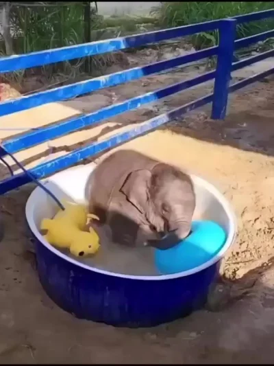 Водные процедуры