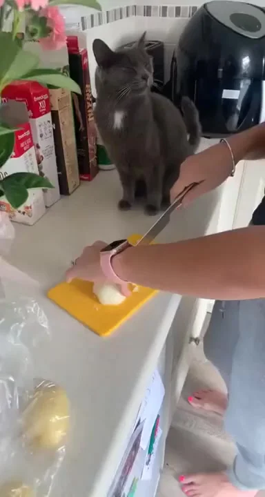 Терпи, потом котлетки будем кушать