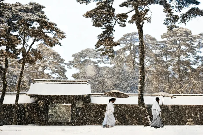 Синтоистские священники в саду храма Мэйдзи