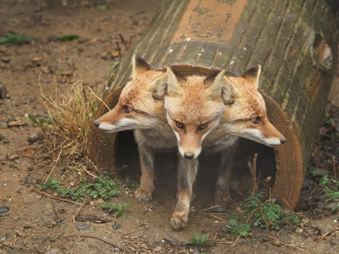 Подборка картинок на общую тему