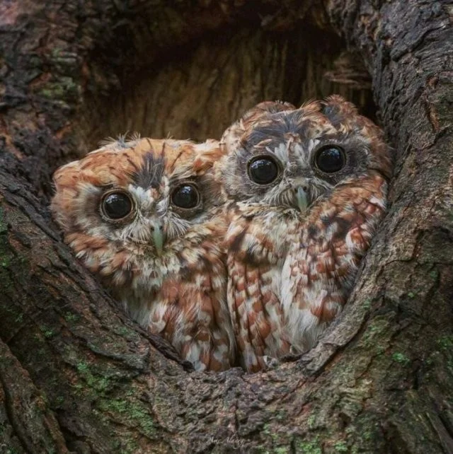 Намешалось: Красивые и интересные картинки