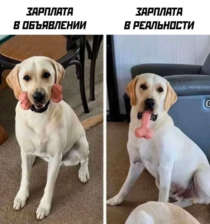 Нестандартный юмор #448