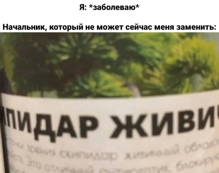 Нестандартный юмор #494