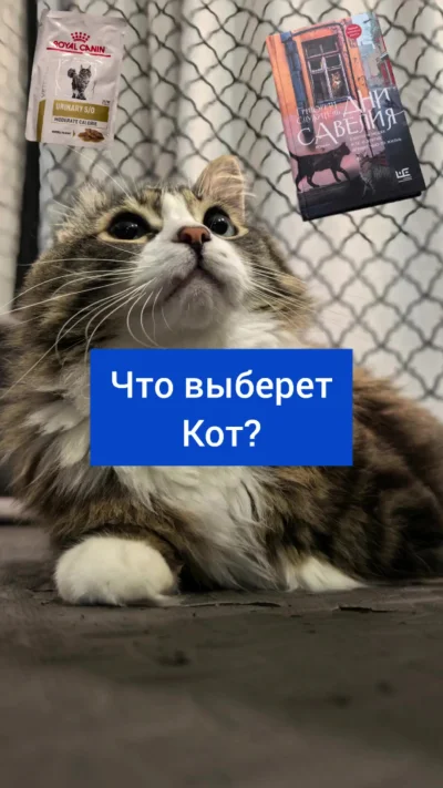 Just Do It