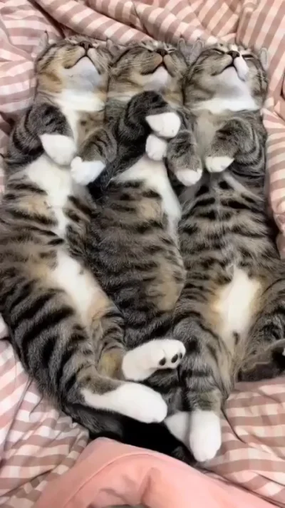 ТриКотажная подушка со встроенным мурчальником