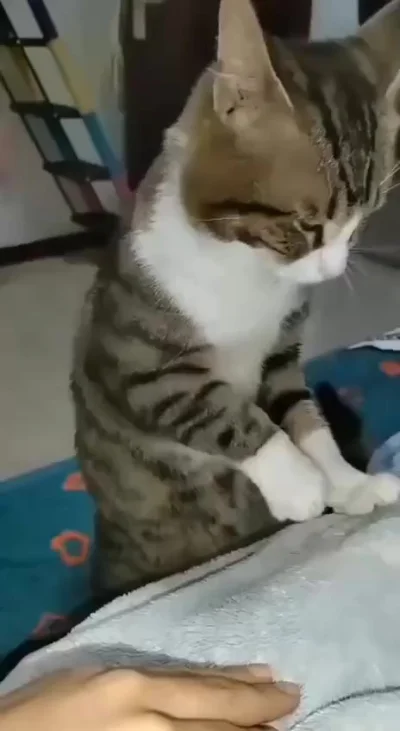 Обиделся