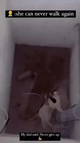 Мужик красава!
