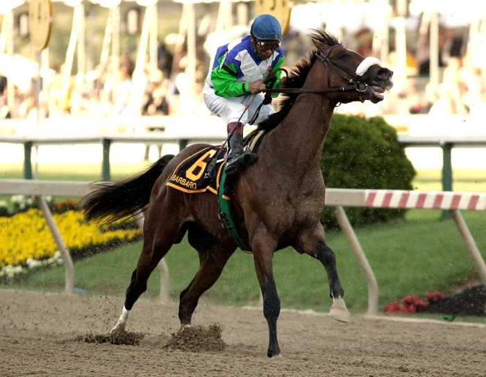 Почему перелом ноги у лошади почти всегда смертелен