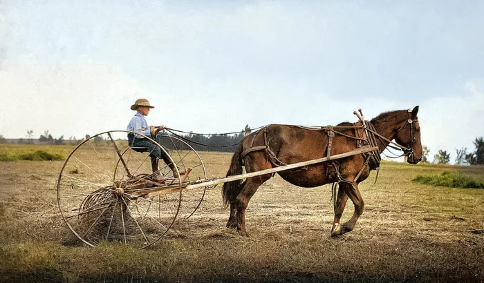 Америка в цвете: 20 редких и необычных фото XX века