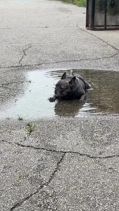 Я тут буду жить