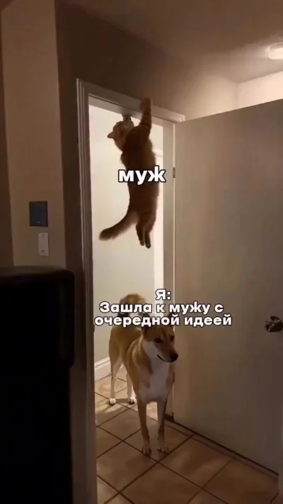 Мастер маскировки