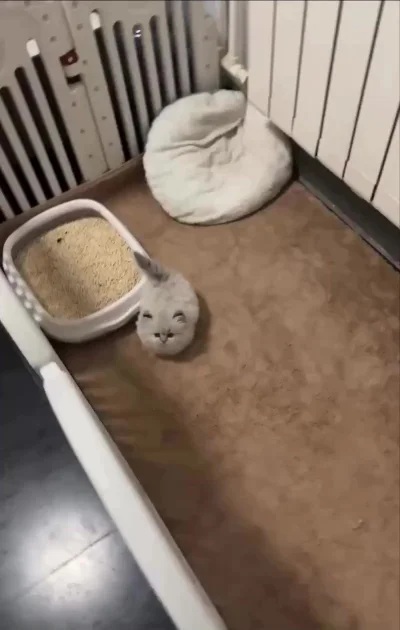 Пушистое облачко