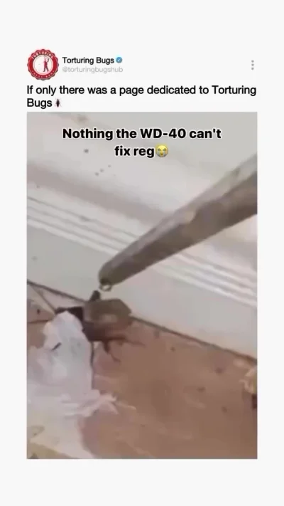 WD-40 починит что угодно