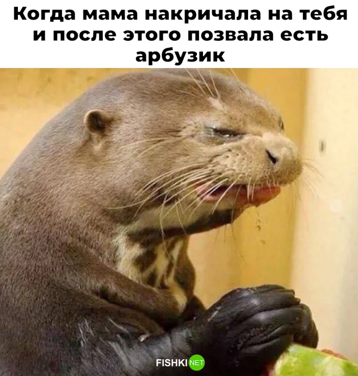 Смешные скрины из соцсетей #91