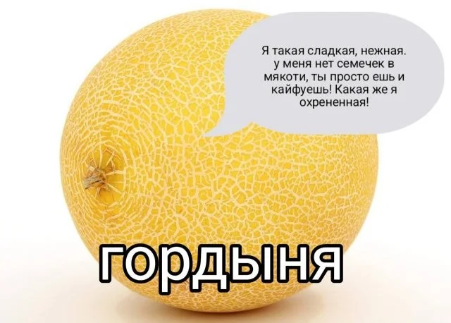 Смешные скрины из соцсетей #99