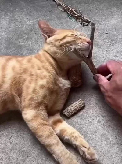 Мои планы на выходные