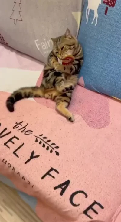 Слишком вкусно